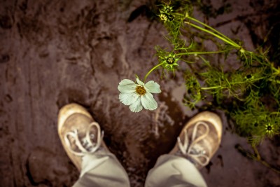 Person looking down at a flower